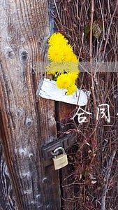 合同纠纷案子税务律师代理能行吗 合同纠纷案子税务律师代理能行吗