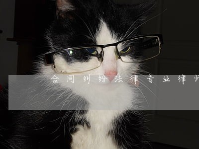 合同纠纷法律专业律师 合同纠纷法律专业律师