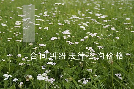 合同纠纷法律咨询价格 合同纠纷法律咨询价格