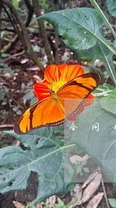 合同纠纷法律咨询库尔勒