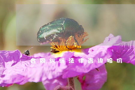 合同纠纷法律咨询报价 合同纠纷法律咨询报价
