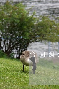 合同纠纷法律咨询电话 合同纠纷法律咨询电话