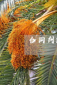 合同纠纷的专业律师 合同纠纷的专业律师