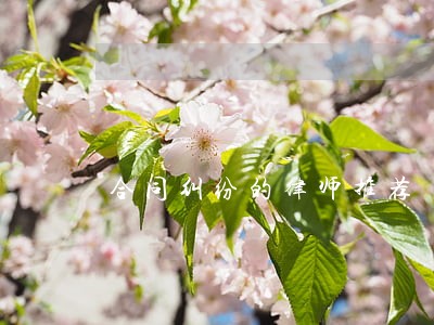 合同纠纷的律师推荐 合同纠纷的律师推荐