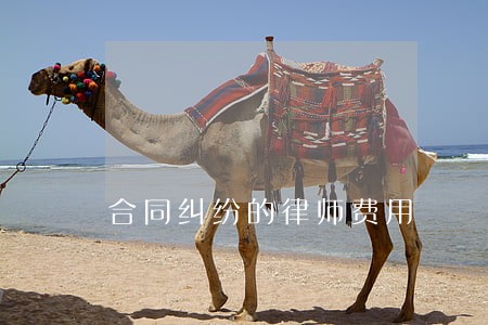 合同纠纷的律师费用 合同纠纷的律师费用