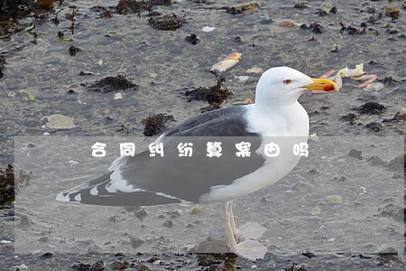 合同纠纷算案由吗 合同纠纷算案由吗