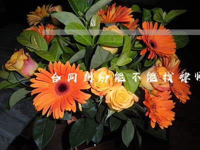 合同纠纷能不能找律师 合同纠纷能不能找律师