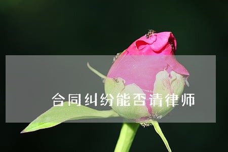 合同纠纷能否请律师 合同纠纷能否请律师