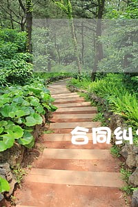 合同纠纷诉讼应该怎么样收费
