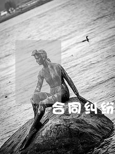合同纠纷诉讼律师在线 合同纠纷诉讼律师在线