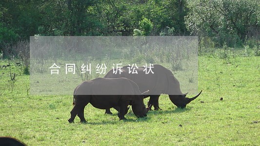 合同纠纷诉讼状