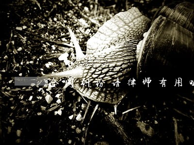 合同纠纷请律师有用吗 合同纠纷请律师有用吗