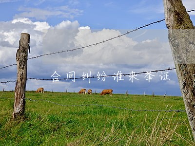 合同纠纷谁来举证 合同纠纷谁来举证
