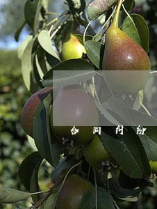 合同纠纷起诉律师流程 合同纠纷起诉律师流程