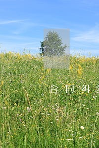 合同纠纷辩护律师网 合同纠纷辩护律师网
