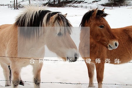 合同纠纷长沙律师咨询 合同纠纷长沙律师咨询