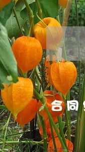 合同约定送达地址司法解释 合同约定送达地址司法解释