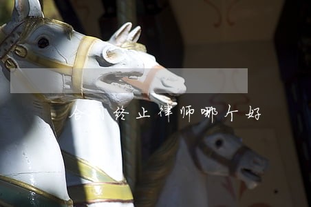 合同终止律师哪个好 合同终止律师哪个好