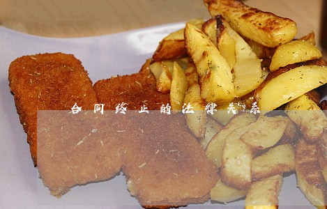 合同终止的法律关系 合同终止的法律关系
