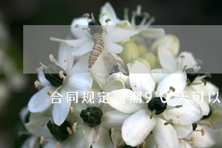 合同规定逾期90天可以退房 合同规定逾期90天可以退房