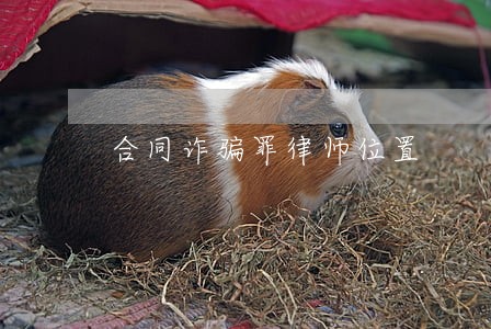 合同诈骗罪律师位置 合同诈骗罪律师位置