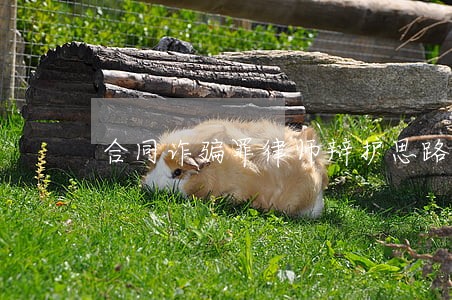 合同诈骗罪律师辩护思路