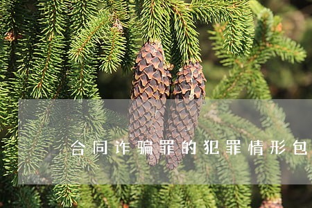 合同诈骗罪的犯罪情形包括 合同诈骗罪的犯罪情形包括
