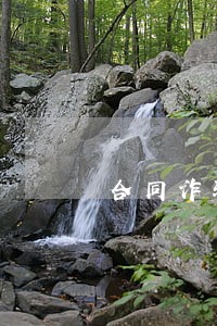 合同诈骗被法院认定公司犯罪 合同诈骗被法院认定公司犯罪