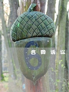 合同诉讼所在地 合同诉讼所在地