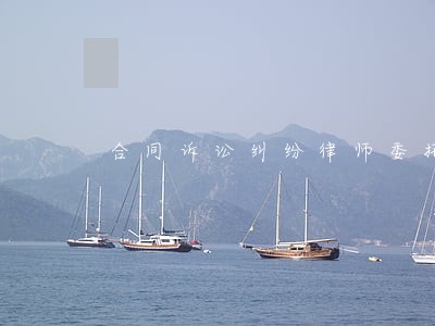 合同诉讼纠纷律师委托 合同诉讼纠纷律师委托