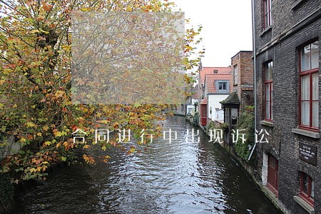 合同进行中出现诉讼 合同进行中出现诉讼