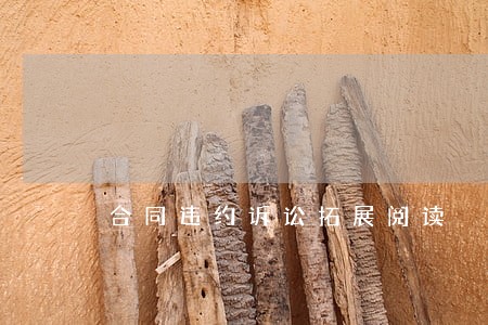 合同违约诉讼拓展阅读