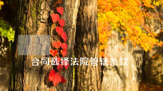 合同选择法院管辖条款 合同选择法院管辖条款
