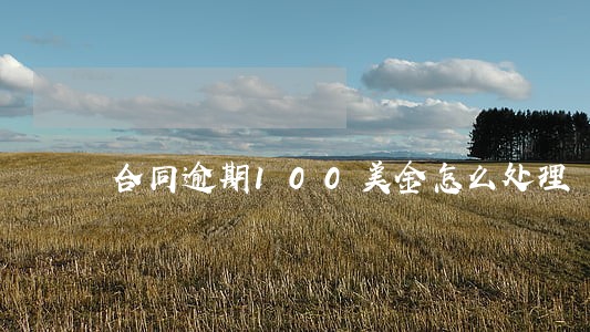 合同逾期100美金怎么处理 合同逾期100美金怎么处理