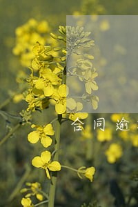 合同逾期1天扣多少钱 合同逾期1天扣多少钱