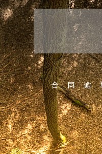 合同逾期4个月后让补签违法吗 合同逾期4个月后让补签违法吗