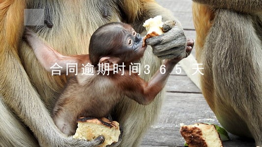 合同逾期时间365天 合同逾期时间365天
