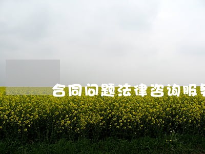 合同问题法律咨询服务费