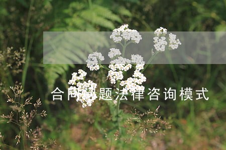 合同问题法律咨询模式 合同问题法律咨询模式