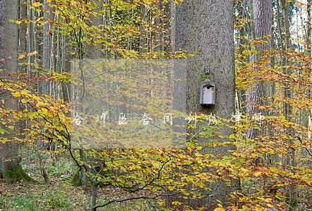 合川区合同纠纷律师 合川区合同纠纷律师