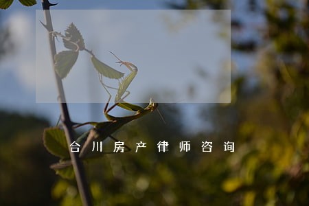 合川房产律师咨询 合川房产律师咨询