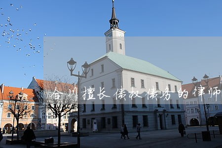 合川擅长债权债务的律师 合川擅长债权债务的律师