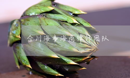 合川海事海商律师团队 合川海事海商律师团队