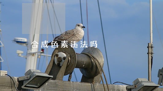 合成色素违法吗 合成色素违法吗