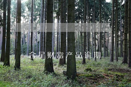 合星财富产品逾期 合星财富产品逾期