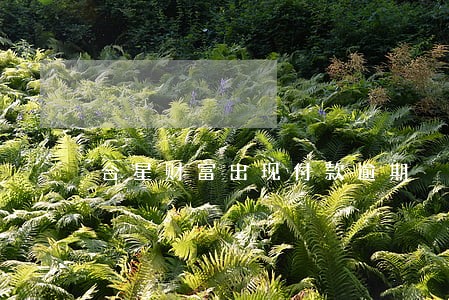 合星财富出现付款逾期 合星财富出现付款逾期