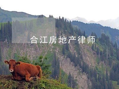 合江房地产律师 合江房地产律师
