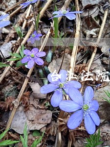 合江法院执行庭 合江法院执行庭