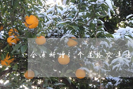 合浦新增5个道路交通违法处理点 合浦新增5个道路交通违法处理点