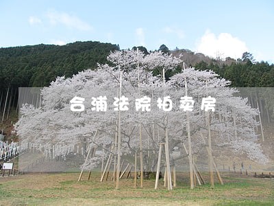 合浦法院拍卖房 合浦法院拍卖房